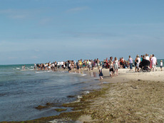 Skagen.JPG